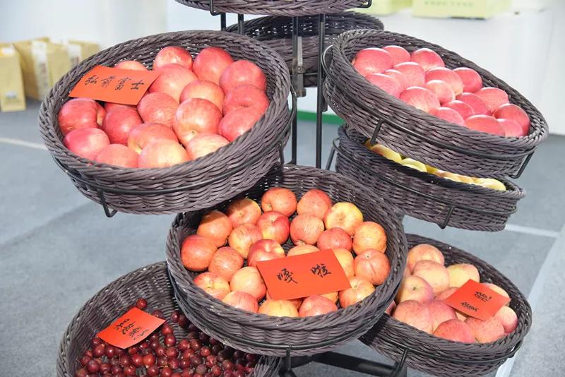 黄陵融媒记者走进农高会,跟着记者看杨凌农高会