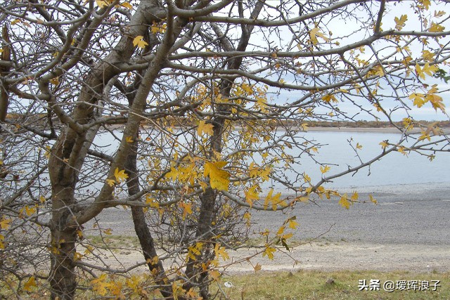 再见那年的秋天，回首多了感动，少了阑珊