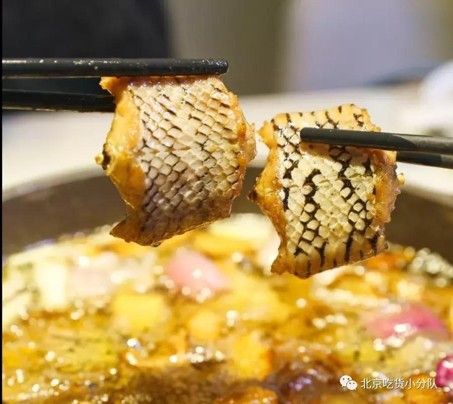 敢吃它的女生，我劝你不要惹