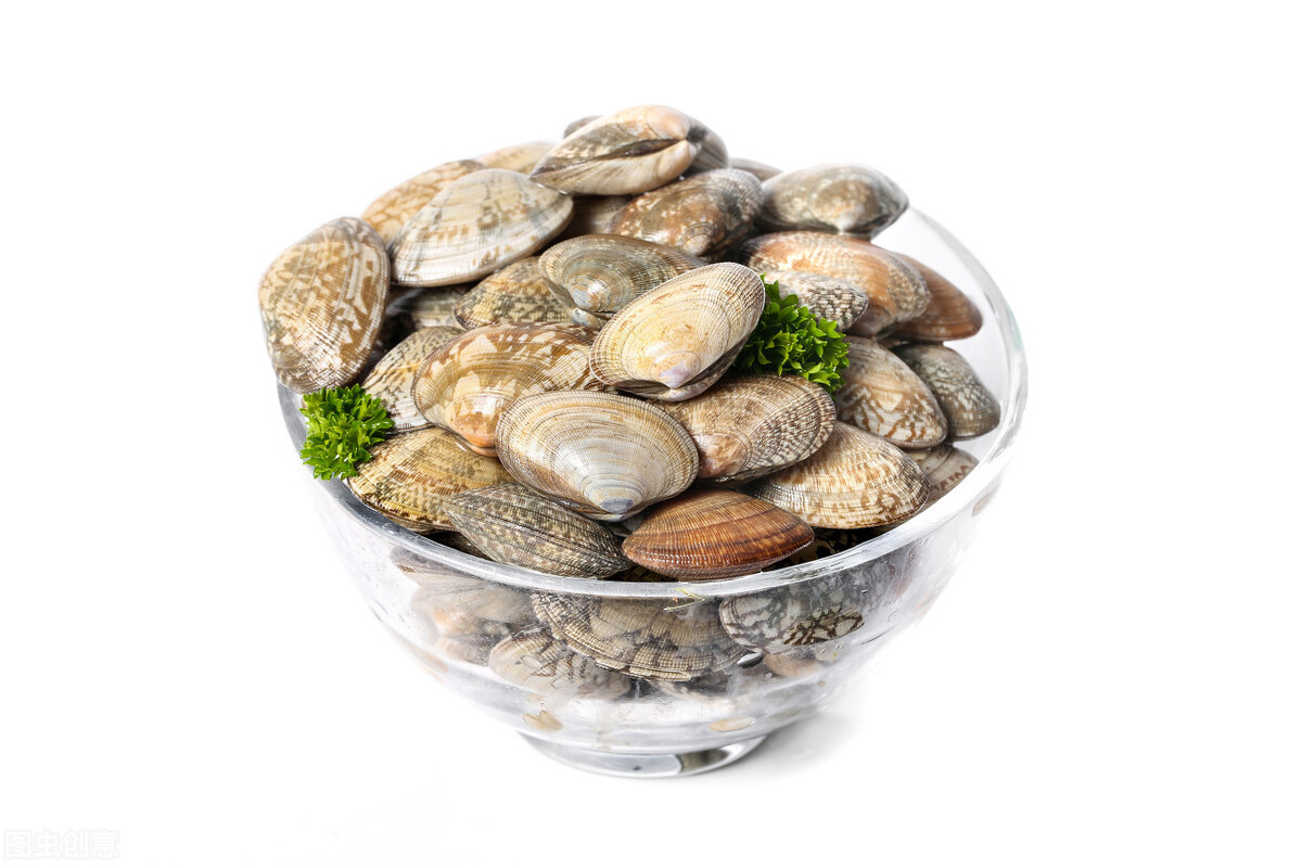 蛤蜊吐沙加油加盐,淡水加盐能让蛤蜊吐沙子吗