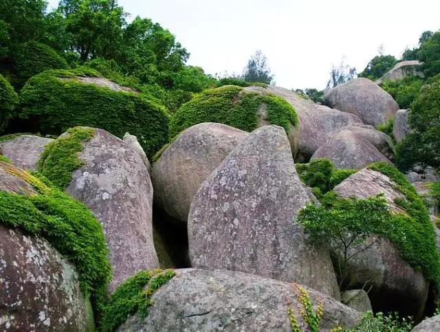 爬山游玩小技巧,厦门登山最佳地点
