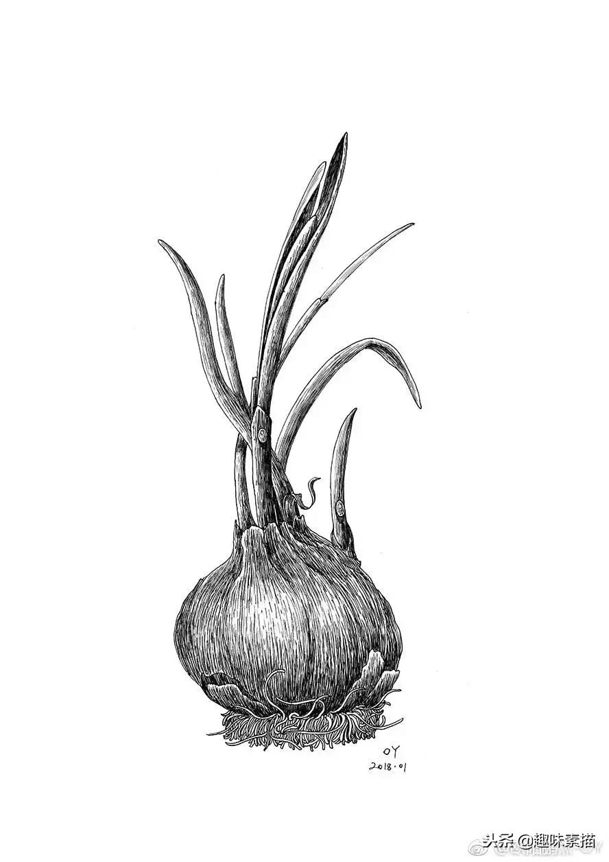 针管笔入门初学者画风景,针管笔教程