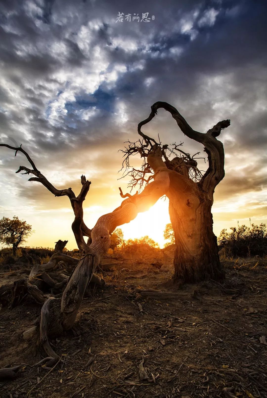 去过18次*疆新**的江南女子，用亲身经历告诉你，*疆新**究竟有多美