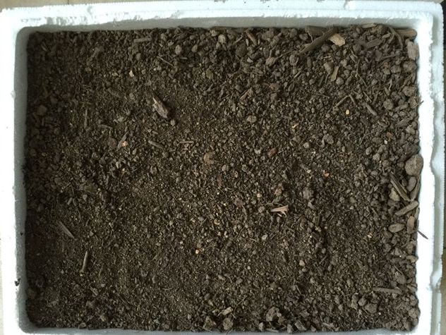 这6种碎渣渣，养花当土又当肥，比激素还有劲儿