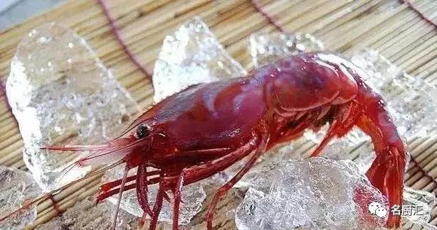 世界高端海鲜品牌,世界顶级海鲜在哪里