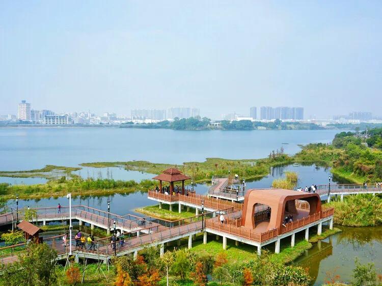 深圳十佳免费湿地公园,深圳十大免费公园排行榜最新名单