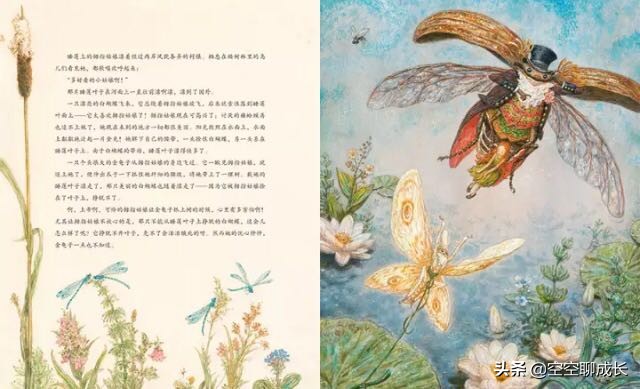 童话故事拇指姑娘阅读感悟,童话拇指姑娘故事