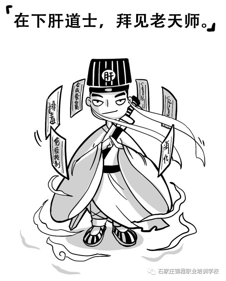 科普漫画脂肪肝,脂肪肝四大误区漫画