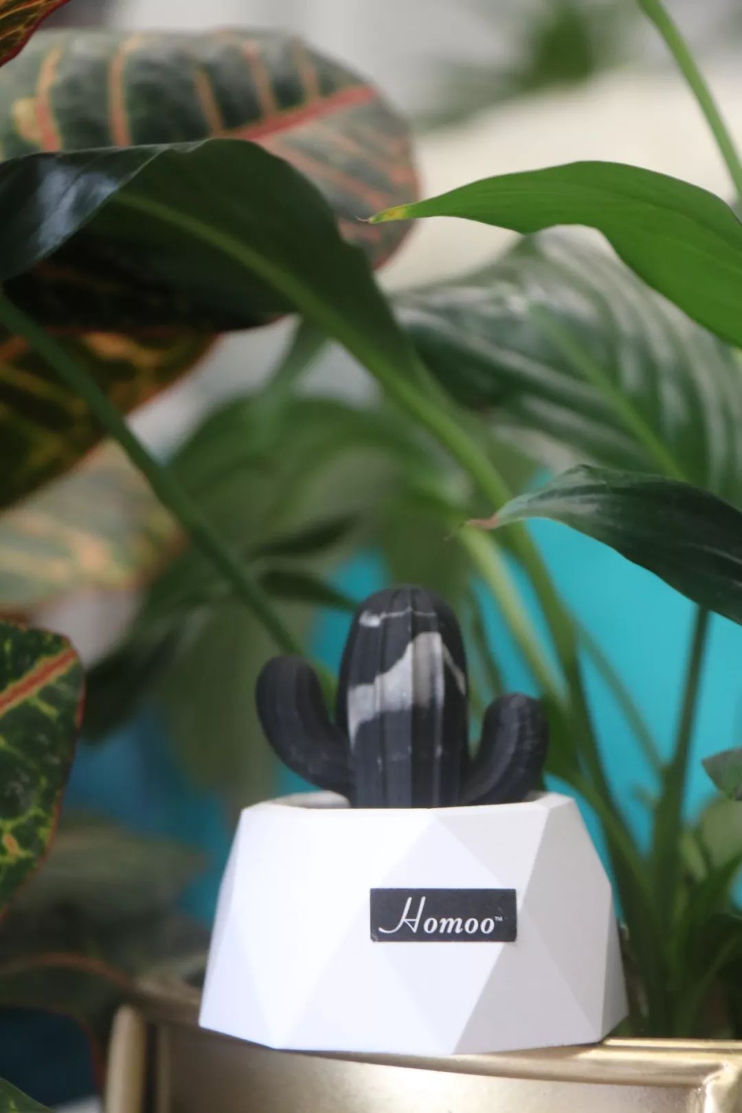 看完这份520浪漫清单,女朋友夸我是情圣