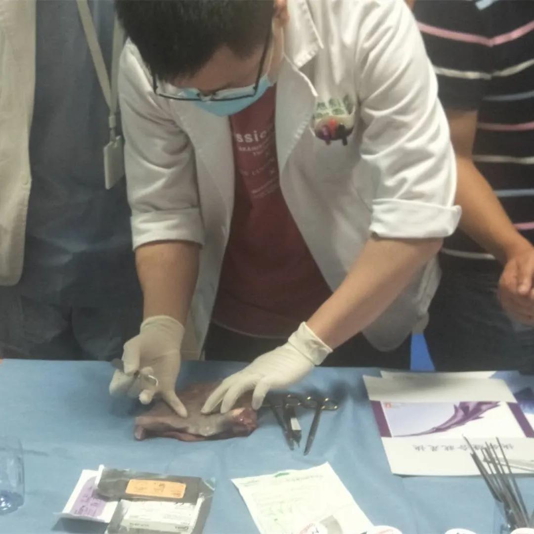 组织缝合技术教学,间断缝合完整流程教学