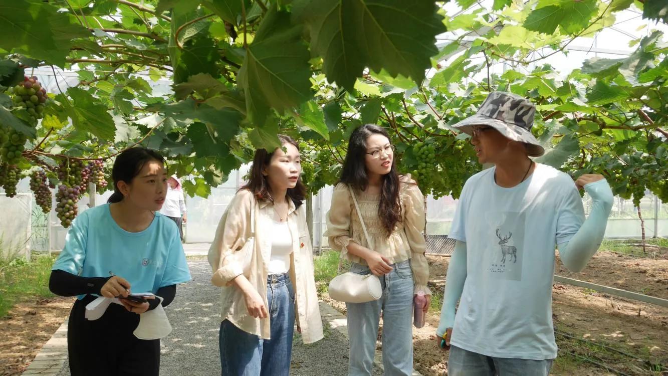 个人三下乡的心得体会,暑期三下乡心得感悟