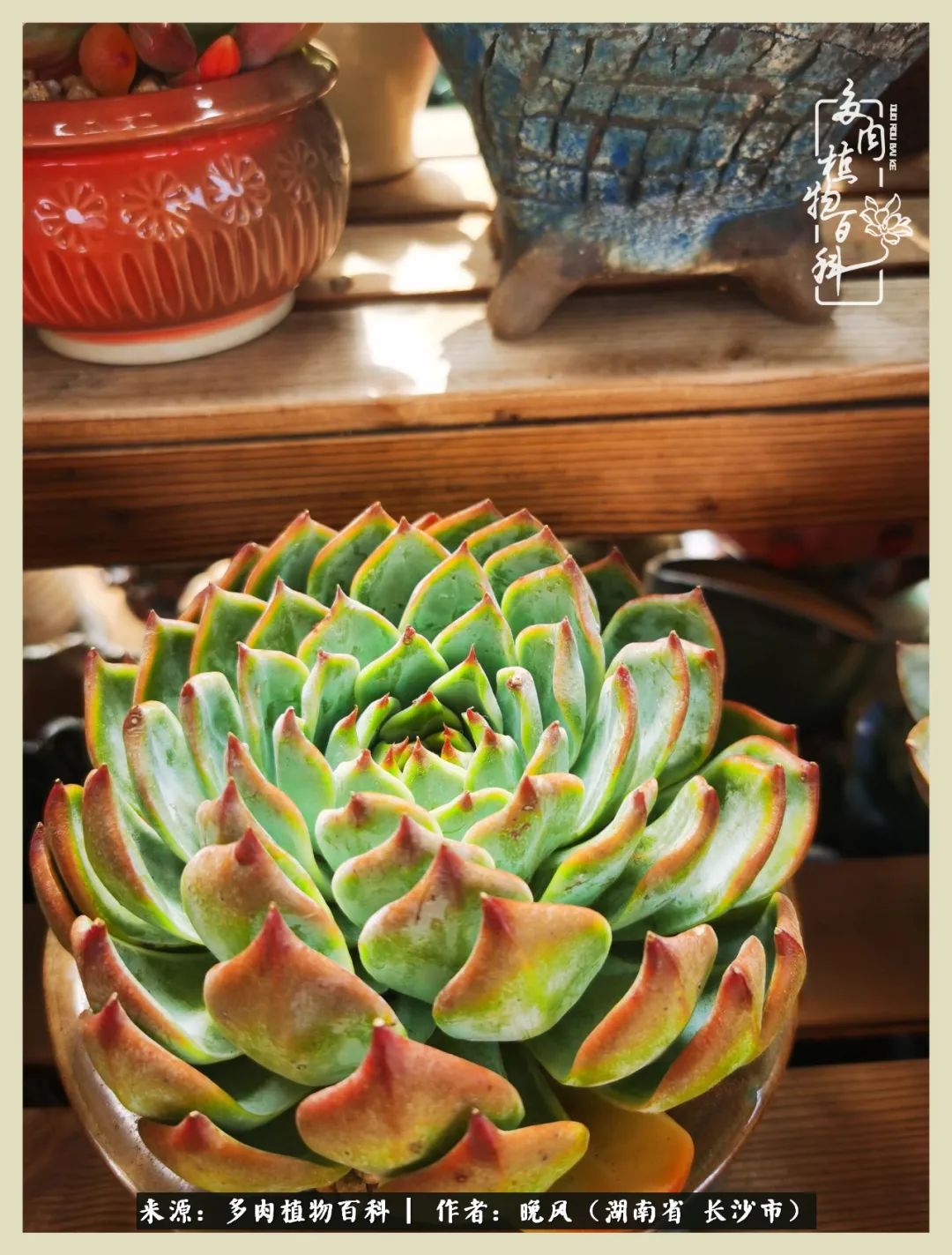 摇身一变成了奶爸,摇身一变成为打工人