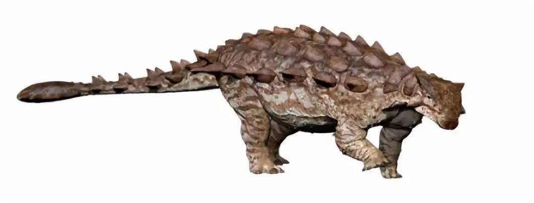 中国最著名的恐龙是什么恐龙,恐龙为名