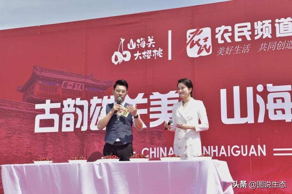 山海关:一沟大樱桃换来半坡别墅