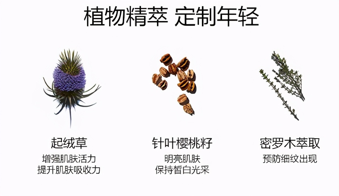 娇韵诗焕颜弹力精华水测评,娇韵诗粉水抗初老吗