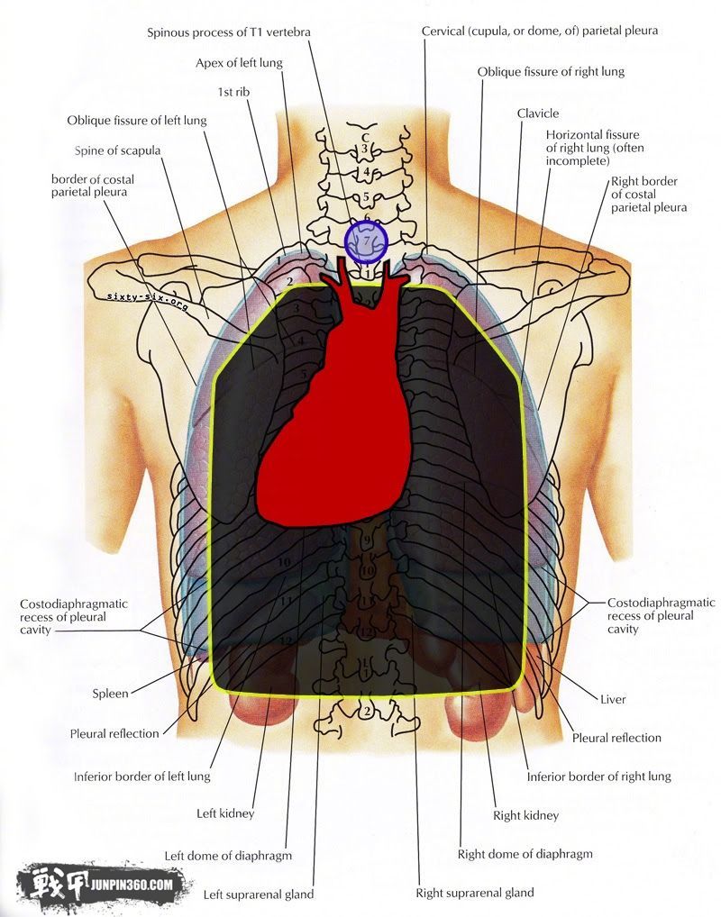 「战甲讲堂·防弹系列7」如何正确穿戴/使用护甲