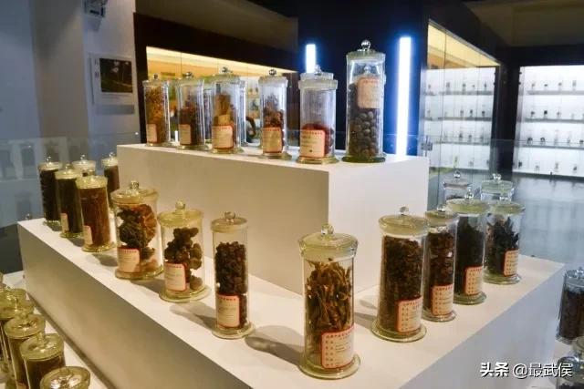 成都中医药大学,不能再低调了!