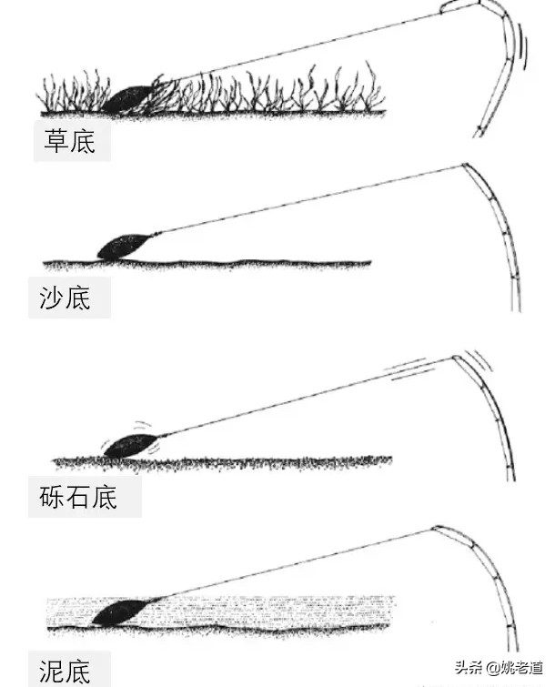 欧鲤远投钓法视频教程,欧鲤钓法适合什么水域