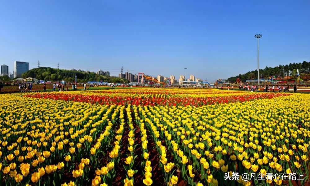 长沙南郊公园火车头公园,长沙最大公园叫什么公园