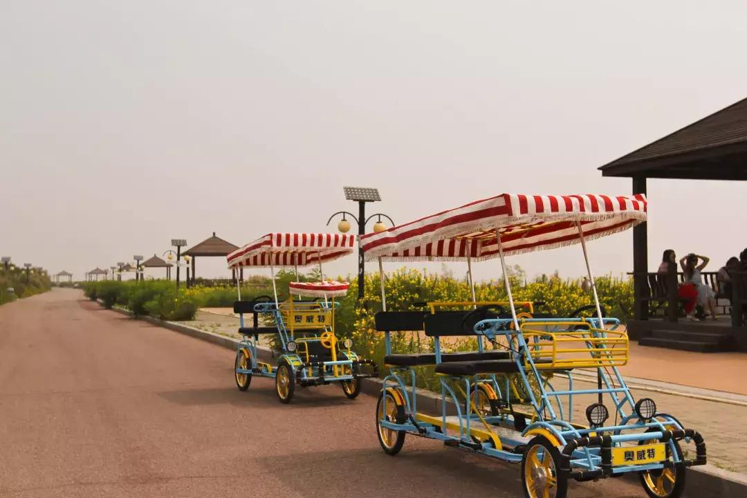 旅游天津周边哪好玩,天津旅游有海的地方