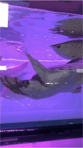 2019，买菜这件小事