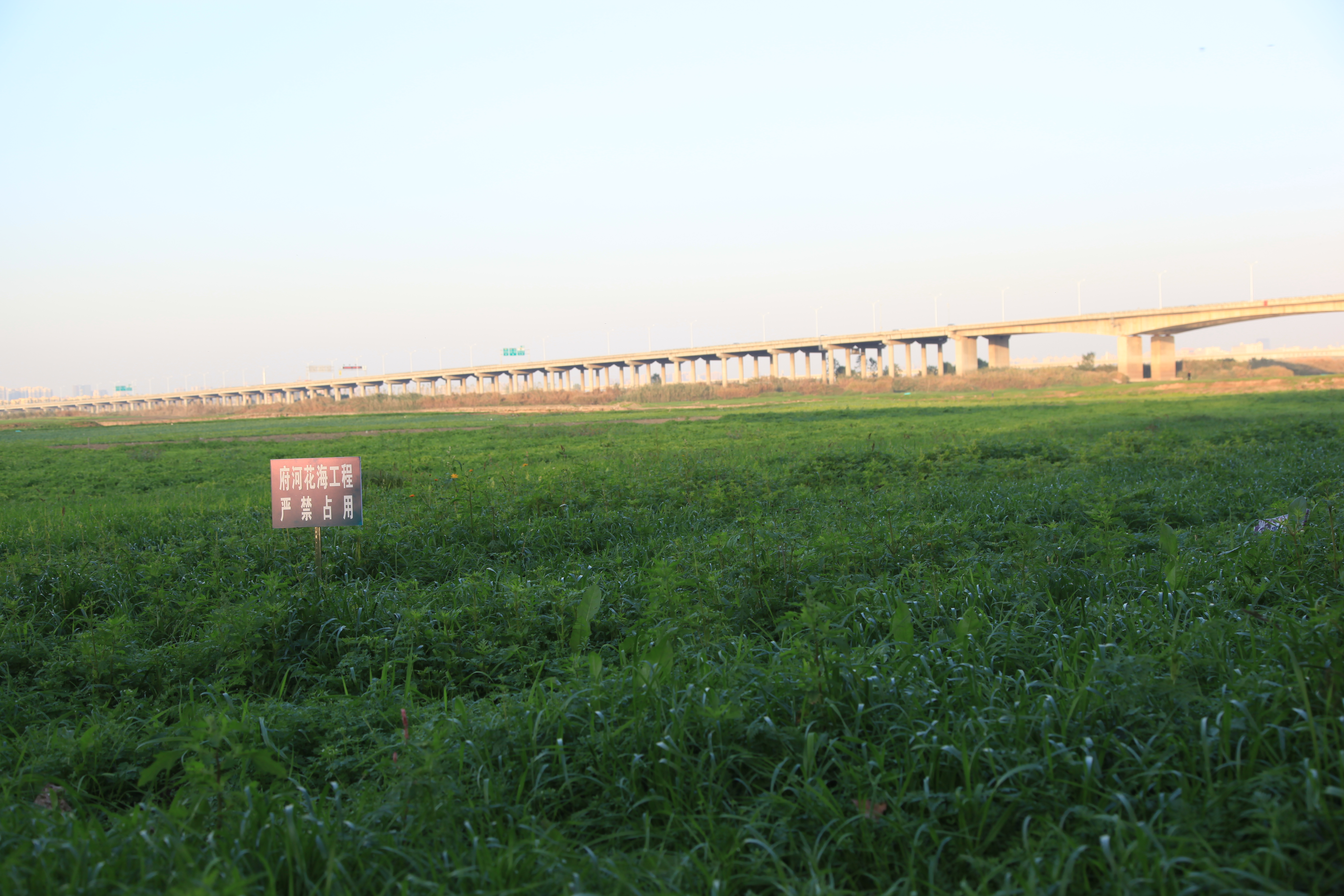 花田花海值得去吗,这些美到爆的花海一定要去看看