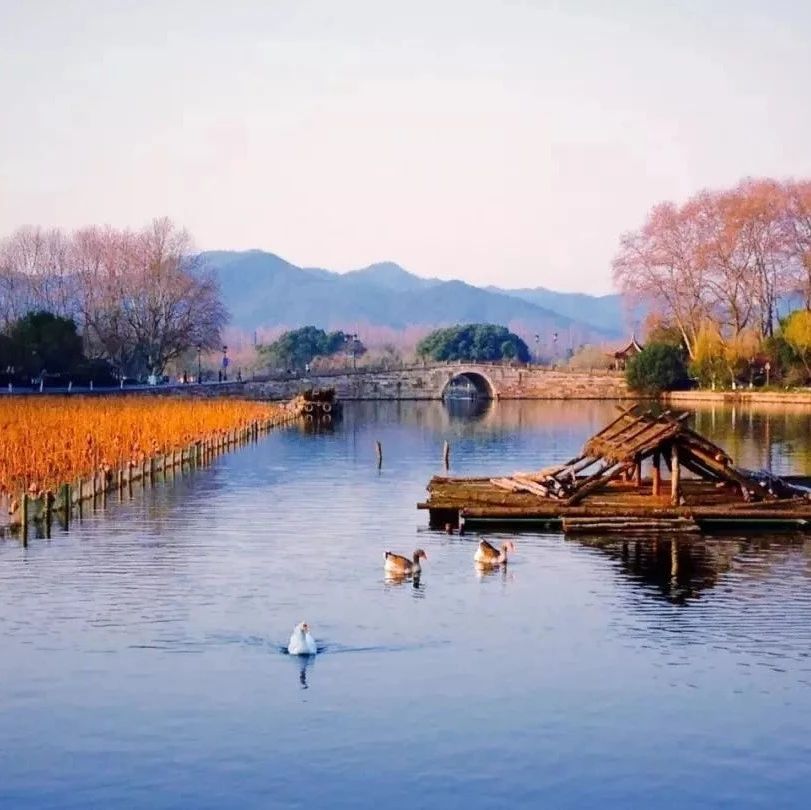 诗人孤山,孤山文人遗迹