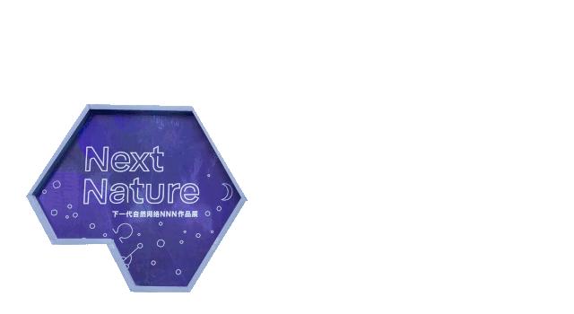 深圳福田美术馆,深圳艺术博物馆有什么值得看的