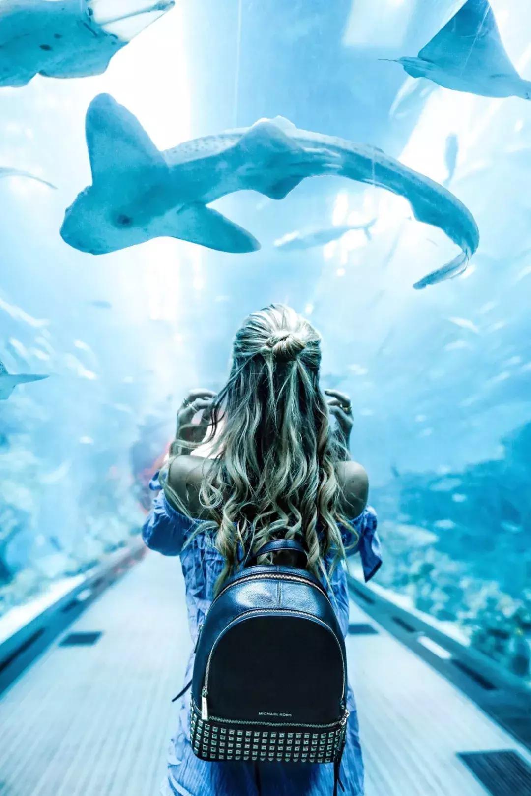 靠捡垃圾成了千亿富翁完整版,捡垃圾变成百万富翁