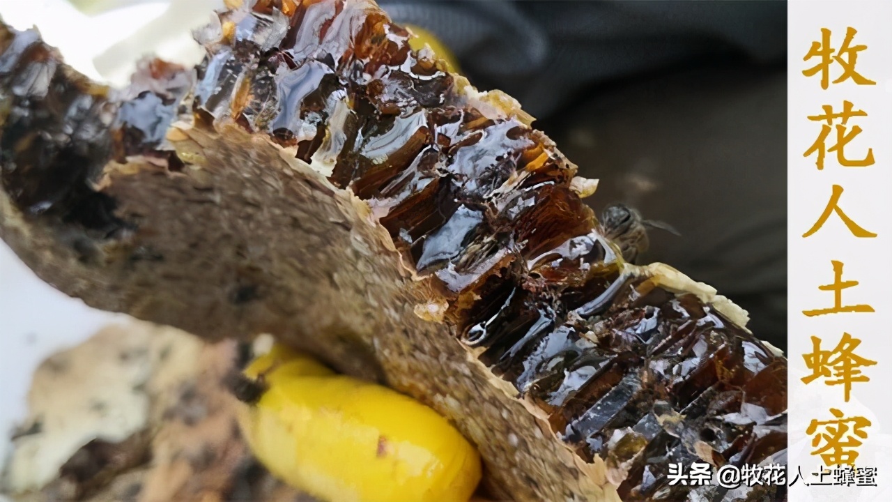 吃麦卢卡蜂蜜的禁忌,吃麦卢卡蜂蜜有效果吗