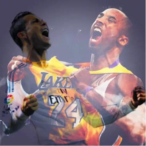 天涯明月刀鹰击长空,天涯明月刀忘川彼岸