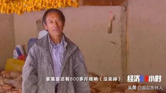 云南核桃批发价是多少钱一斤,云南的核桃价格多少一斤