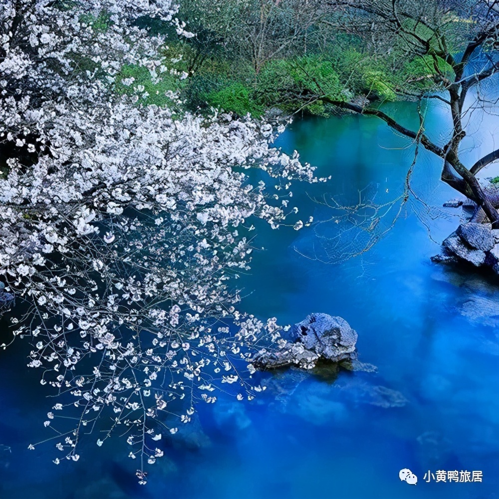 二月杭州值得去吗,上有天堂下有苏杭杭州旅游攻略