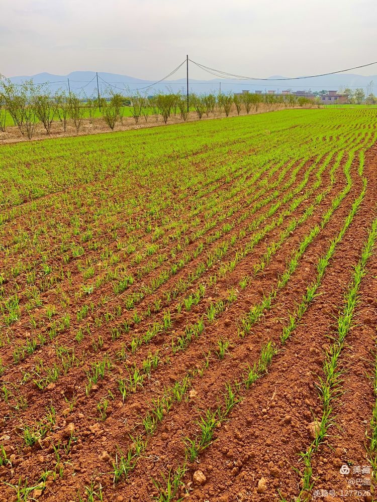 洛阳市宜阳凤凰岭射箭,宜阳县凤凰岭体育基地