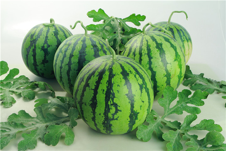 西瓜根腐病早期症状,西瓜根腐病死苗该咋办