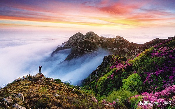 大连英歌石花海,大连十大最美花海