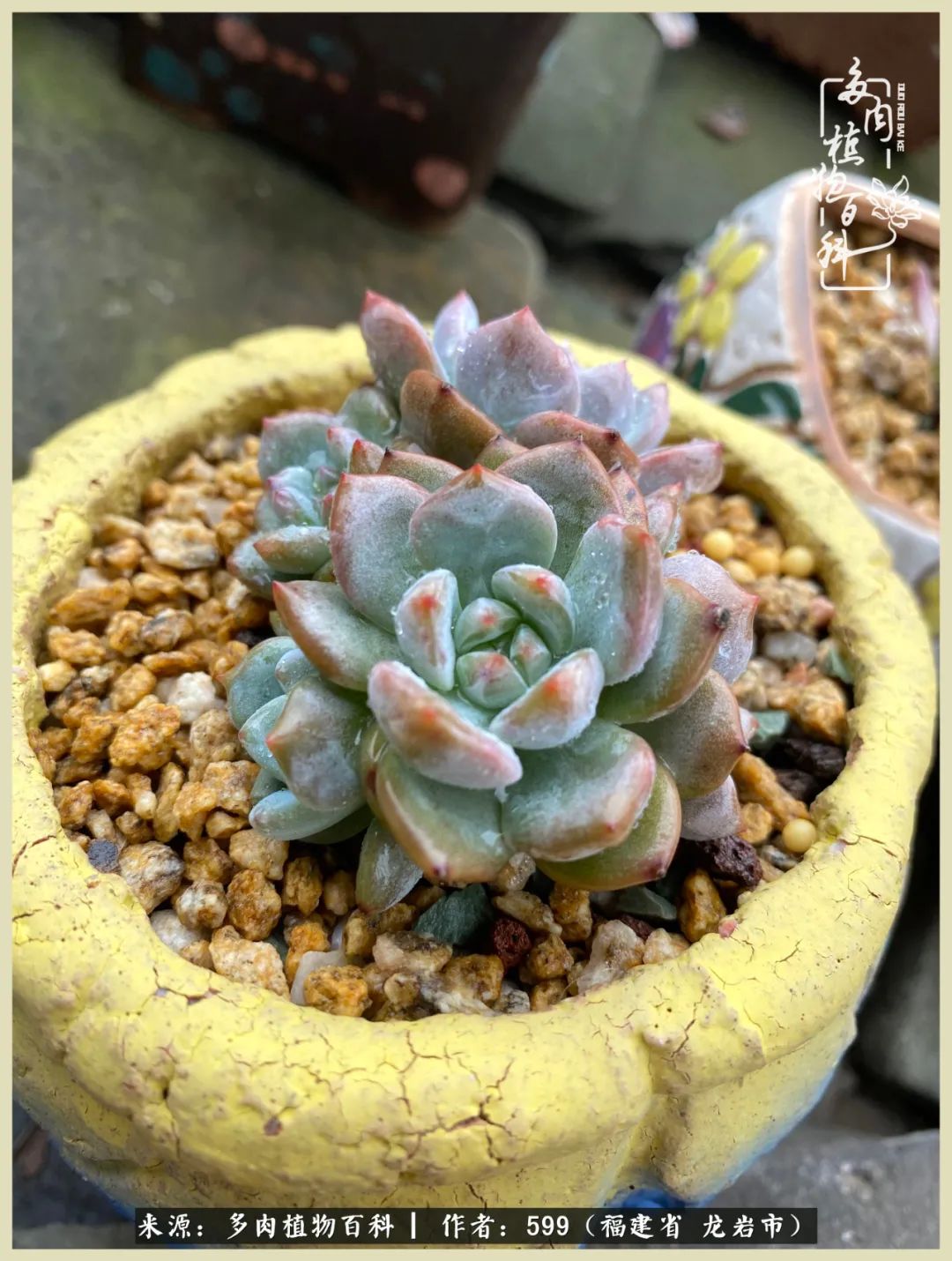 所有的热爱都不遗余力,所有的忙碌都是因为热爱