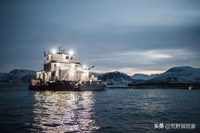 挪威北极鳕鱼和南极鳕鱼的区别,去挪威旅游吃海鲜