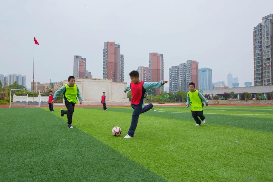 南师附小有多强,雨花南师附小
