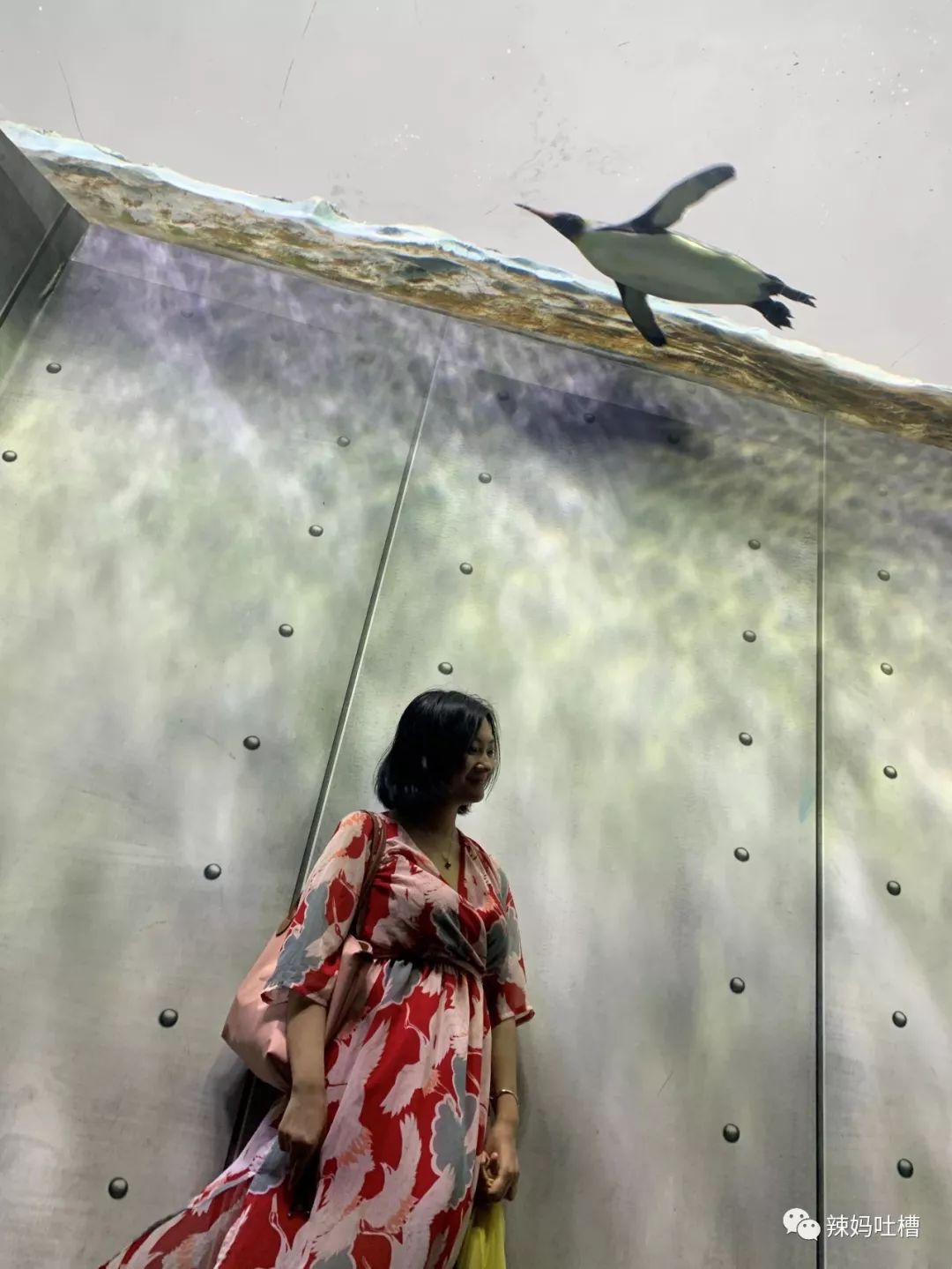 珠海长隆企鹅海洋王国攻略,珠海长隆海洋王国攻略2天亲子游