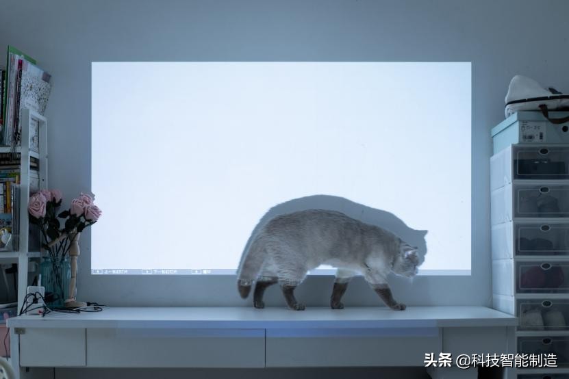 新手也能做好投影机选择题—爱普生CH-TW610投影机全面对比评测