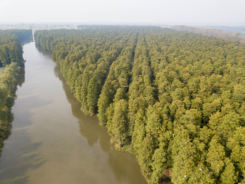 乘着动车去旅行,乘着高铁游扬州高邮北