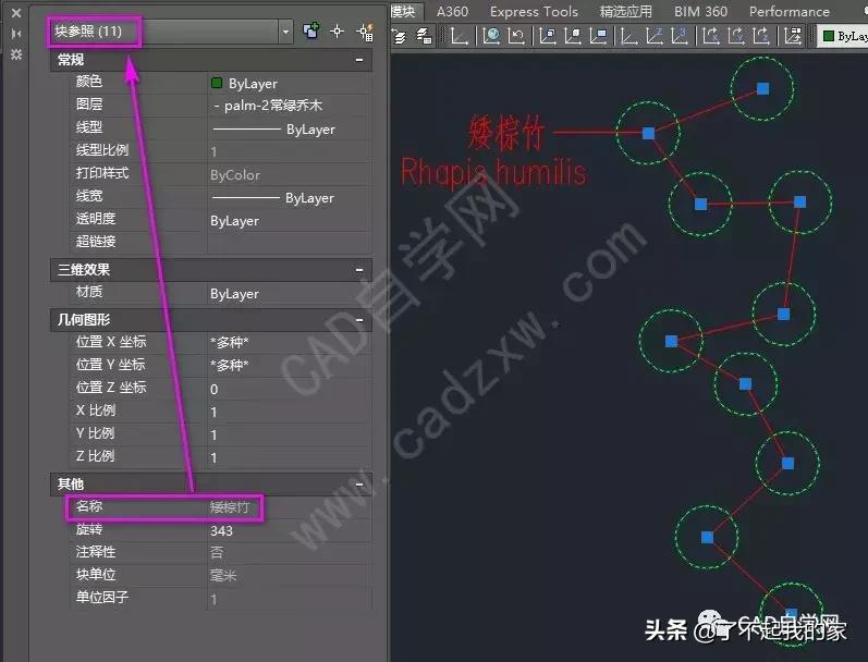 cad统计苗木数量,cad统计苗木数量快捷键