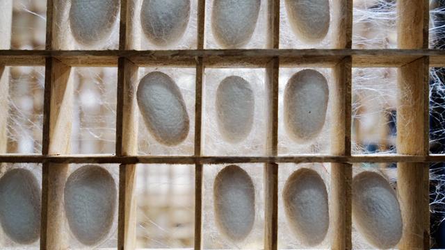 中国最低调小城市,中国最低调小镇