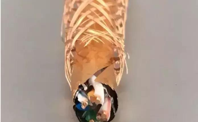 六类非屏蔽网线六类双屏蔽的区别,6类非屏蔽网线和双屏蔽网线