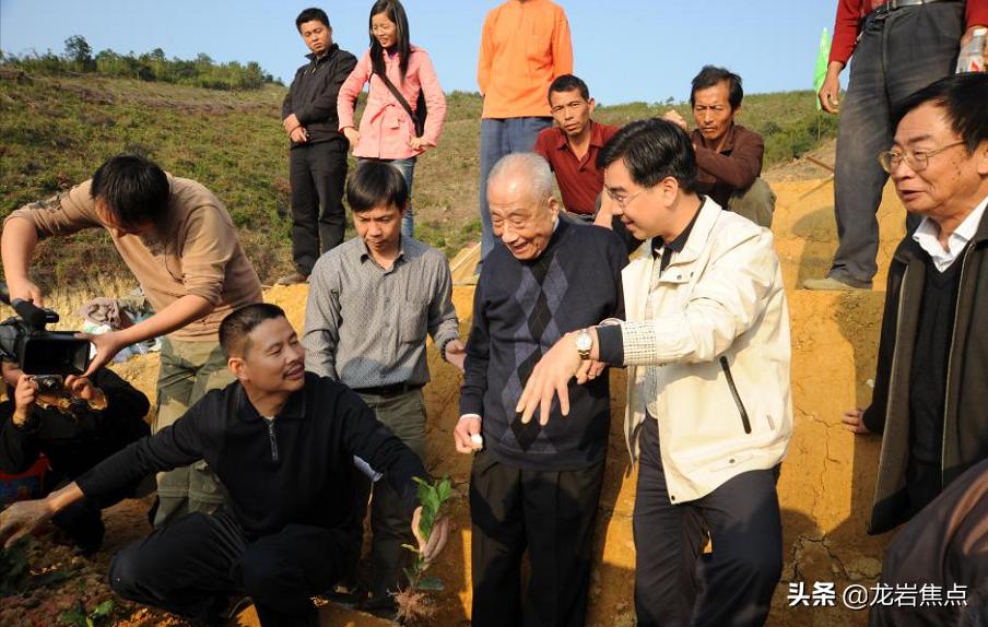 华祥苑十年普洱价值,华祥苑的发展历程
