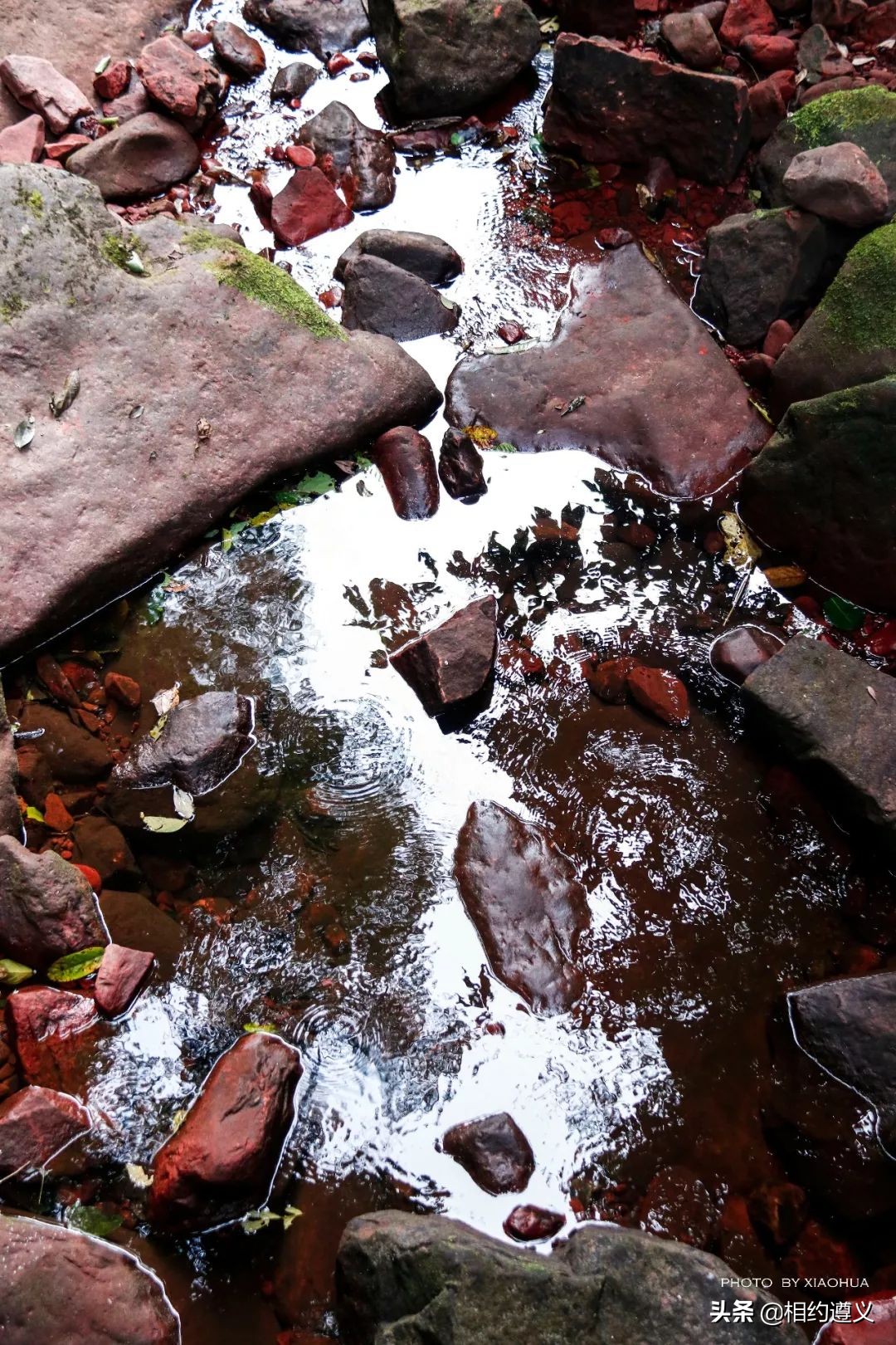 赤水大瀑布 侏罗纪公园 (贵州赤水侏罗纪公园攻略)