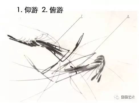 国画用胶矾水画虾技法,娄师白画虾技法视频