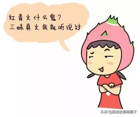 一分钟教你看懂新加坡,三分钟看懂新加坡