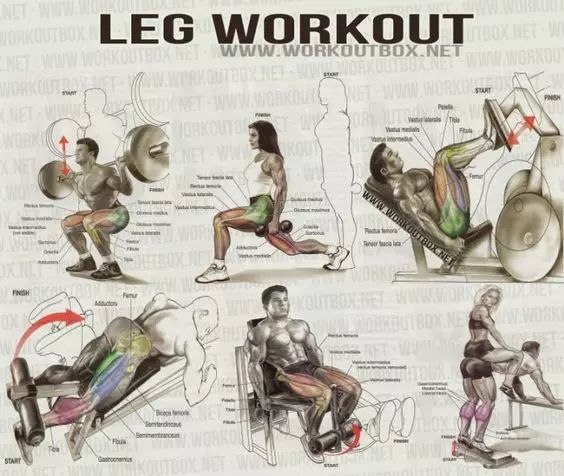 工作忙时如何健身锻炼,职场人士适合的健身方式